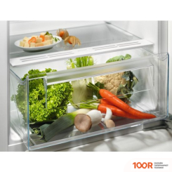 Холодильник Electrolux LRB3AE12S (307589)