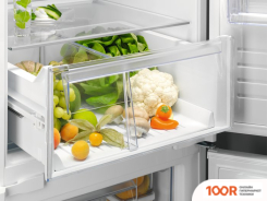 Холодильник Electrolux LNS8FF19S (307576)