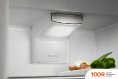 Холодильник Electrolux LNS6TE19S (307575)