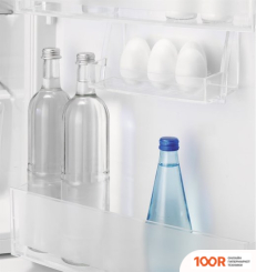 Холодильник Electrolux FLEX RNS6TE19S (307551)