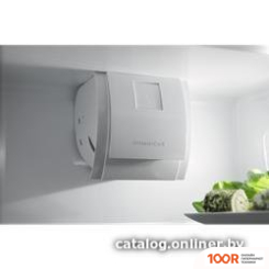 Холодильник Electrolux ENT7TF18S (307548)