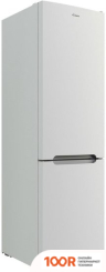Холодильник Candy CCRN 6200W (307334)