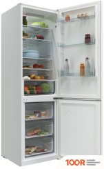 Холодильник Candy CCRN 6200W (307334)