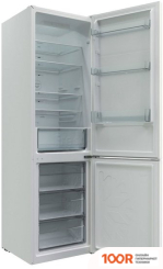 Холодильник Candy CCRN 6200W (307334)