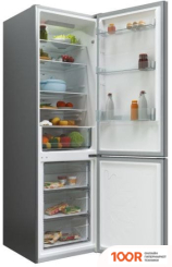 Холодильник Candy CCRN 6200S (307333)