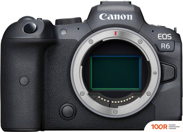 Фотоаппарат Canon EOS R6 BODY (305661)