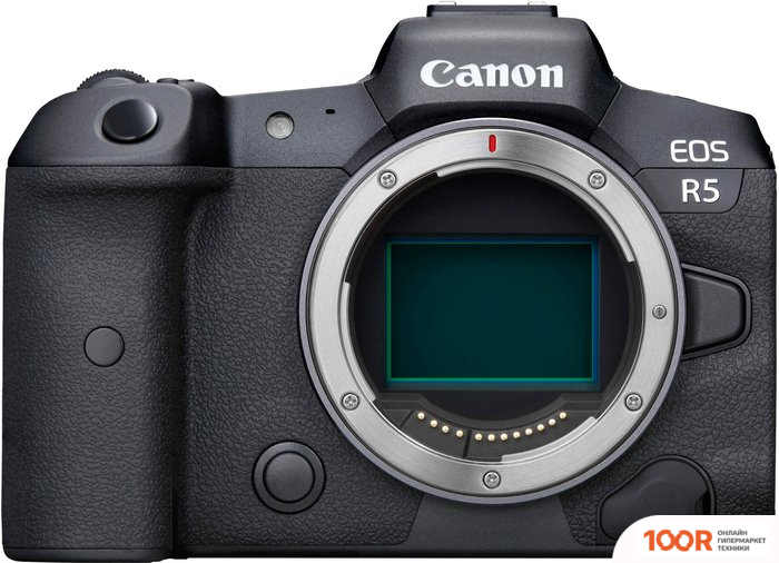 Фотоаппарат Canon EOS R5 BODY (305651)