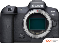 Фотоаппарат Canon EOS R5 BODY (305651)