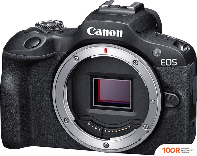 Фотоаппарат Canon EOS R100 BODY (305648)