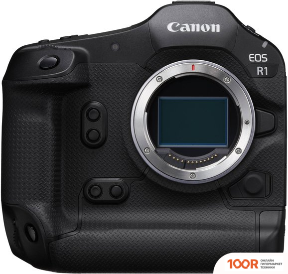 Фотоаппарат Canon EOS R1 BODY (305641)