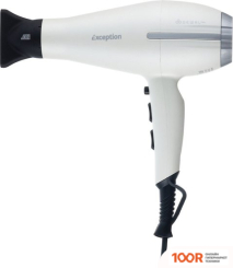 Фен Dewal EXCEPTION 03-113 (БЕЛЫЙ) (304159)