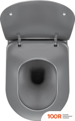 Унитаз Deante PEONIA CDE DZPW (БЕЗ СИДЕНЬЯ) (300409)