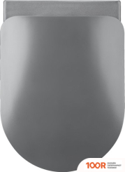 Унитаз Deante PEONIA CDE DZPW (БЕЗ СИДЕНЬЯ) (300409)