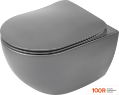 Унитаз Deante PEONIA CDE DZPW (БЕЗ СИДЕНЬЯ) (300409)