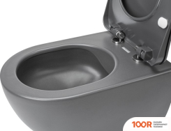 Унитаз Deante PEONIA CDE DZPW (БЕЗ СИДЕНЬЯ) (300409)