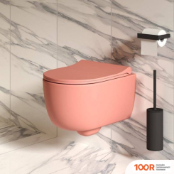 Унитаз Ambassador ABNER 103T20901R (РОЗОВЫЙ МАТОВЫЙ, С ТОНКИМ СИДЕНЬЕМ) (299621)