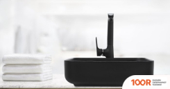 Умывальник WeltWasser ELBACH 2195 MB (299185)