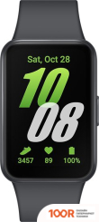 Samsung GALAXY FIT3 (ГРАФИТ) (296041)