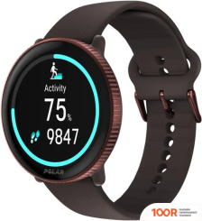 Polar IGNITE 3 (МЕДНЫЙ/КОРИЧНЕВЫЙ) (295962)