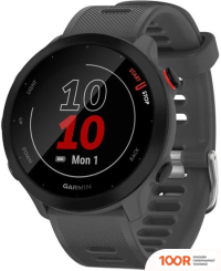 Garmin FORERUNNER 55 (СЕРЫЙ) (295232)