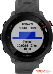 Garmin FORERUNNER 55 (СЕРЫЙ) (295232)