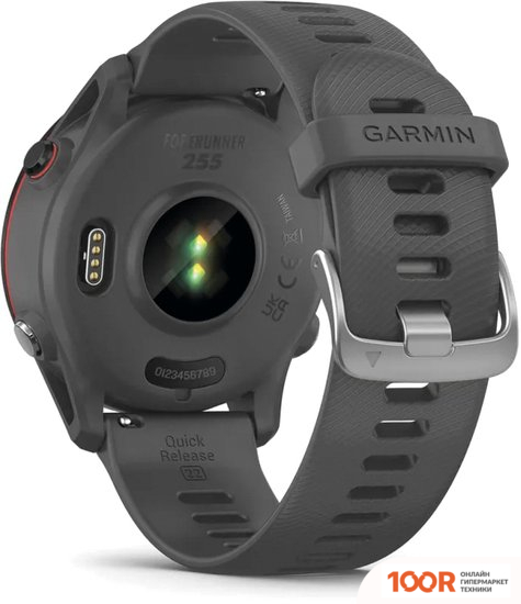 Garmin FORERUNNER 255 (СЛАНЦЕВО-СЕРЫЙ/ЧЕРНЫЙ) (295216)