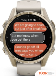 Garmin FENIX 8 SAPPHIRE 43ММ (ЗОЛОТИСТЫЙ, ДЫМЧАТО-СЕРЫЙ РЕМЕШОК) (295195)