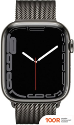 Apple WATCH SERIES 7 LTE 45 ММ (СТАЛЬ ГРАФИТОВЫЙ/МИЛАНСКИЙ ЧЕРНЫЙ) (294579)