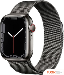 Apple WATCH SERIES 7 LTE 41 ММ (СТАЛЬ СЕРЕБРИСТЫЙ/ЗВЕЗДНЫЙ СВЕТ) (294573)