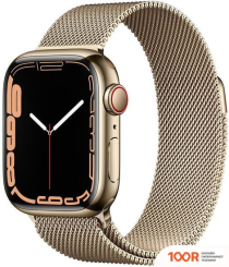 Apple WATCH SERIES 7 LTE 41 ММ (ЗОЛОТИСТЫЙ/МИЛАНСКИЙ ЗОЛОТИСТЫЙ) (294570)