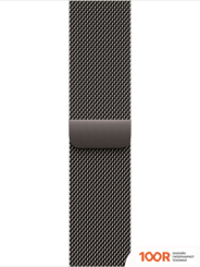 Apple WATCH SERIES 10 LTE 42 ММ (ТИТАНОВЫЙ КОРПУС, СЛАНЕЦ/СЛАНЕЦ, СТАЛЬНОЙ РЕМЕШОК) (294497)