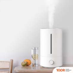 Увлажнитель воздуха Sundays BZT-115 (292689)