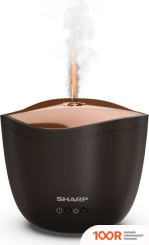 Увлажнитель воздуха Sharp DF-A1E-T (292628)