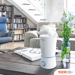 Увлажнитель воздуха Hyundai MIRABILIS NOVUS H-HU10M-3.0-UI186 (292320)