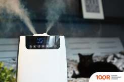 Увлажнитель воздуха Blaupunkt AHS803 (292080)