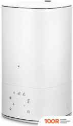 Увлажнитель воздуха AccesStyle ALPINE 6DS (292006)
