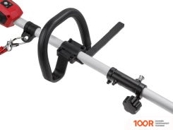 Триммер Wortex TB 3036-1 ALL1 XLT SET 1334872 (С 2-МЯ АКБ) (291829)