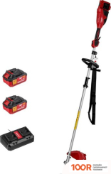 Триммер Wortex TB 3036-1 ALL1 XLT SET 1334872 (С 2-МЯ АКБ) (291829)