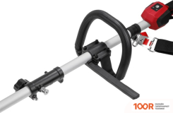 Триммер Wortex TB 3036-1 ALL1 XLT SET 1334872 (С 2-МЯ АКБ) (291829)