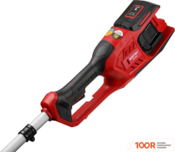 Триммер Wortex TB 3036 0333290 (БЕЗ АКБ) (291827)