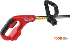 Триммер Wortex TB 3018-1 0333242 (С 1-ИМ АКБ) (291824)