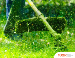 Триммер Oasis TB-250P (291572)