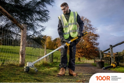 Триммер DeWalt DCMST561N (БЕЗ АКБ) (291183)