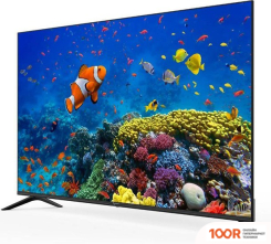 Телевизор Триколор H55U5500SA (289529)