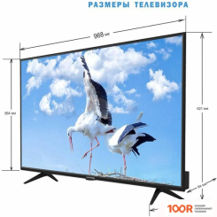 Телевизор Витязь 43LF0221 (289505)