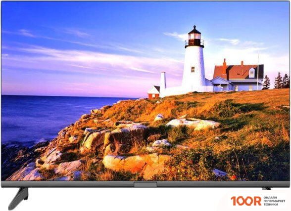 Телевизор Витязь 24LH1204 (289478)