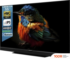 Телевизор Vesta V55MUA7500 (289402)