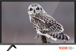 Телевизор Vekta LD-32TR5112BT (289373)