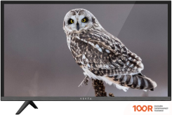 Телевизор Vekta LD-32TR4315BT (289371)