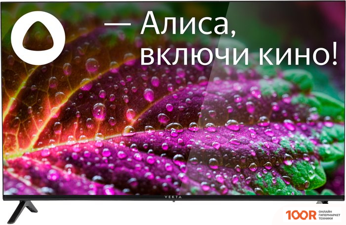 Телевизор Vekta LD-32SR4861BS (289365)